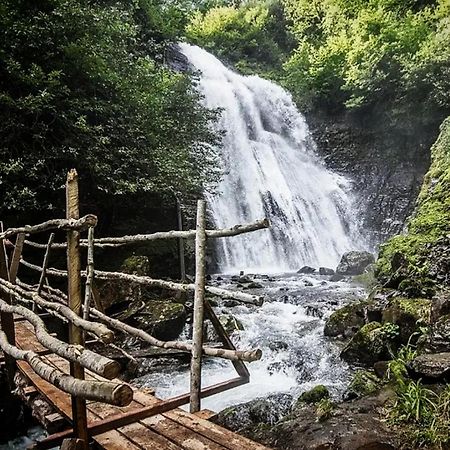 Bed and Breakfast Гостевой Дом "Амза" Tqvarcheli Zewnętrze zdjęcie
