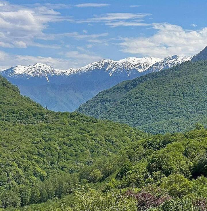 Bed and Breakfast Гостевой Дом "Амза" Tqvarcheli Zewnętrze zdjęcie